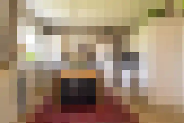 Buitendijk 24 Nieuwendijk thumbnail 13