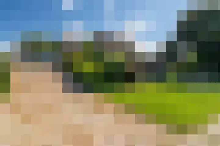 Buitendijk 24 Nieuwendijk thumbnail 26