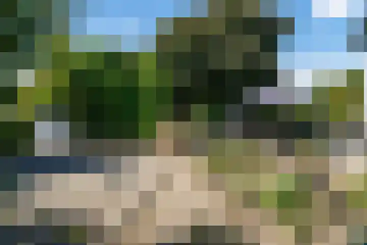 Buitendijk 24 Nieuwendijk thumbnail 28