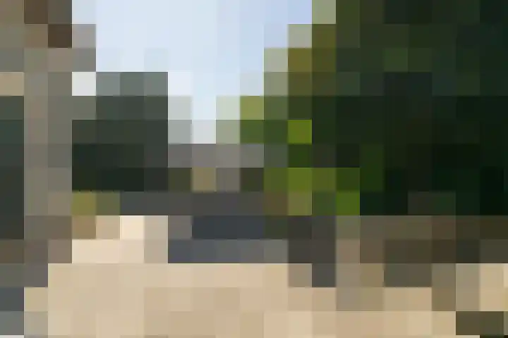 Buitendijk 24 Nieuwendijk thumbnail 32
