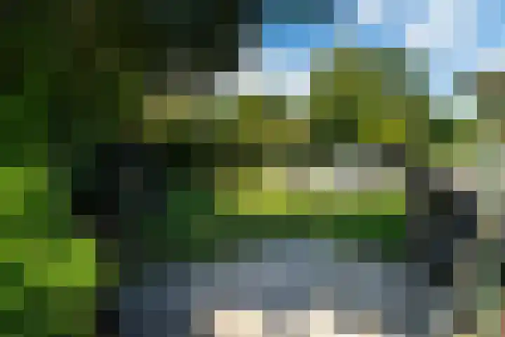 Buitendijk 24 Nieuwendijk thumbnail 33