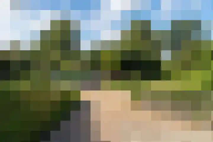 Buitendijk 24 Nieuwendijk thumbnail 34