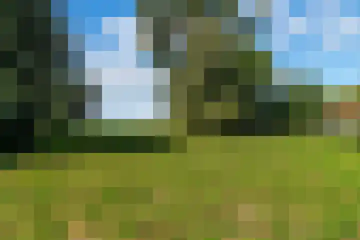 Buitendijk 24 Nieuwendijk thumbnail 39