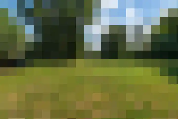 Buitendijk 24 Nieuwendijk thumbnail 40