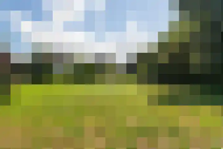 Buitendijk 24 Nieuwendijk thumbnail 41