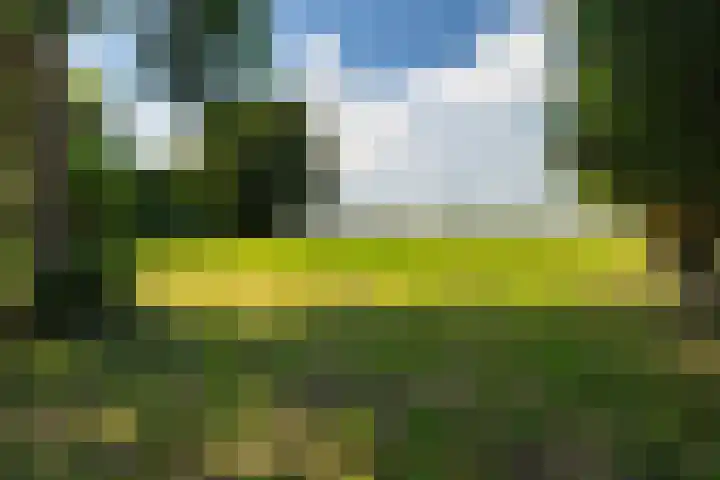 Buitendijk 24 Nieuwendijk thumbnail 42