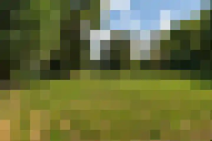 Buitendijk 24 Nieuwendijk thumbnail 43