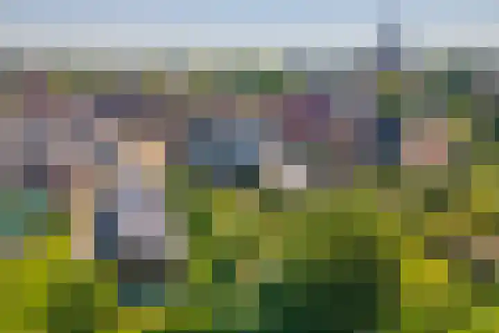 Buitendijk 55 a Hank thumbnail 39