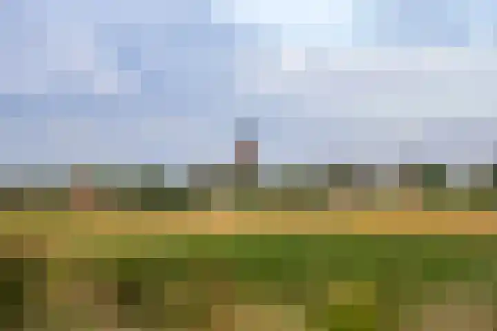 Buitendijk 55 a Hank thumbnail 41