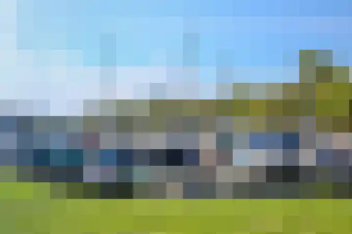 Buitendijk 55 a Hank thumbnail 42