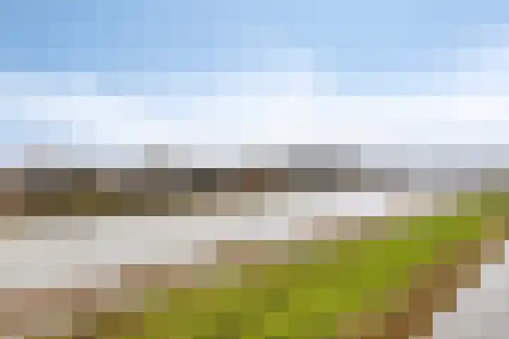 Buitendijklaan 120 Leiderdorp thumbnail 37