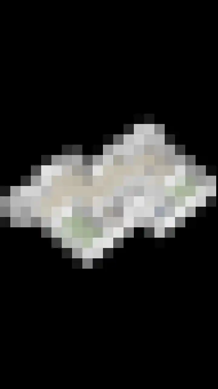 Buitendijklaan 120 Leiderdorp thumbnail 51