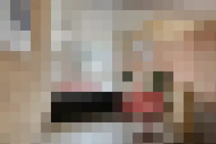 Buitendijklaan 120 Leiderdorp thumbnail 8