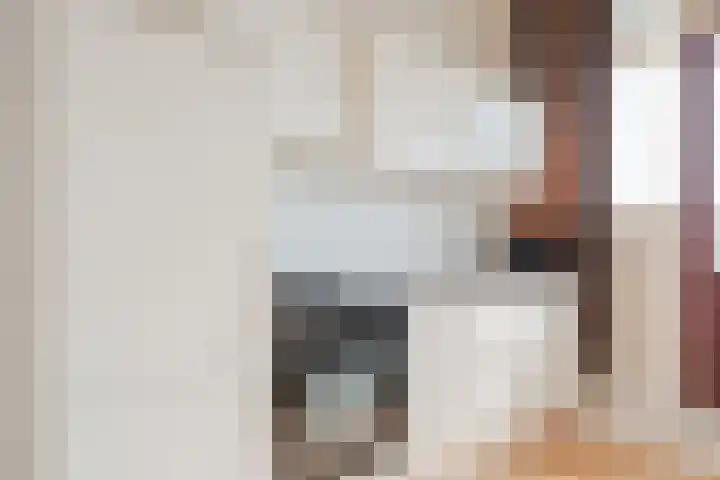 Buitendijklaan 41 Leiderdorp thumbnail 33