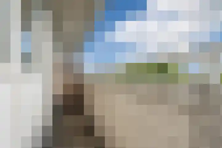 Buitendijklaan 41 Leiderdorp thumbnail 36