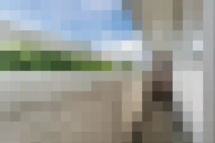 Buitendijklaan 41 Leiderdorp thumbnail 37