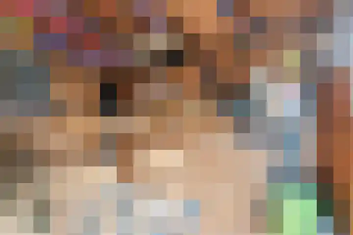 Buitendijklaan 41 Leiderdorp thumbnail 46