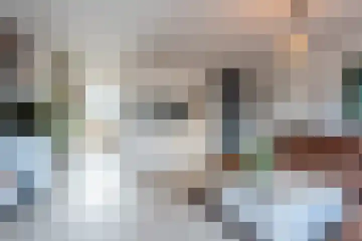 Buitendijklaan 41 Leiderdorp thumbnail 5