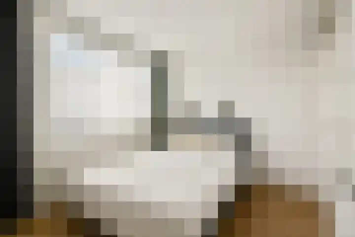 Buitendraaierij 38 Amsterdam thumbnail 5