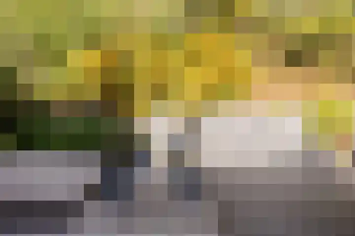 Buitendreef 4 Eindhoven thumbnail 39