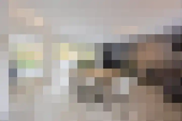 Buitendreef 4 Eindhoven thumbnail 5