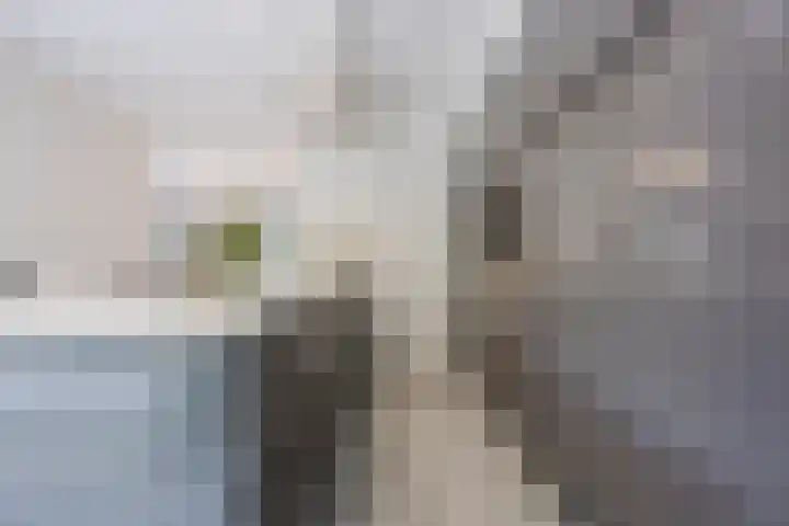 Buitendreef 4 Eindhoven thumbnail 9