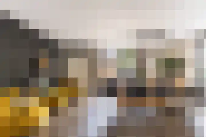 Buiteneinde 28 Strijen thumbnail 11
