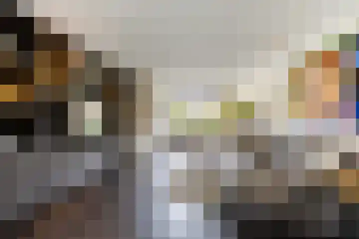 Buiteneinde 28 Strijen thumbnail 12