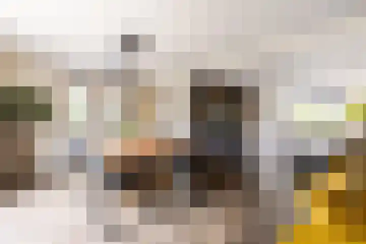 Buiteneinde 28 Strijen thumbnail 14