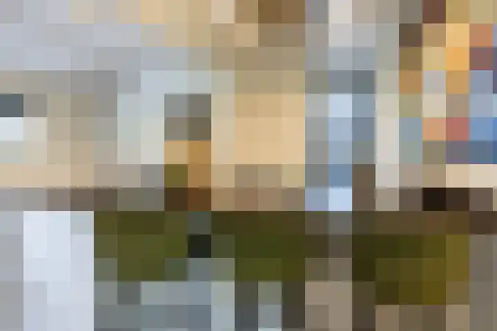 Buiteneinde 28 Strijen thumbnail 16