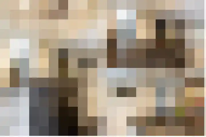 Buiteneinde 28 Strijen thumbnail 19