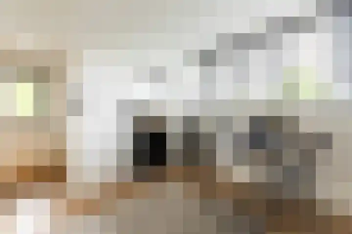 Buiteneinde 28 Strijen thumbnail 24