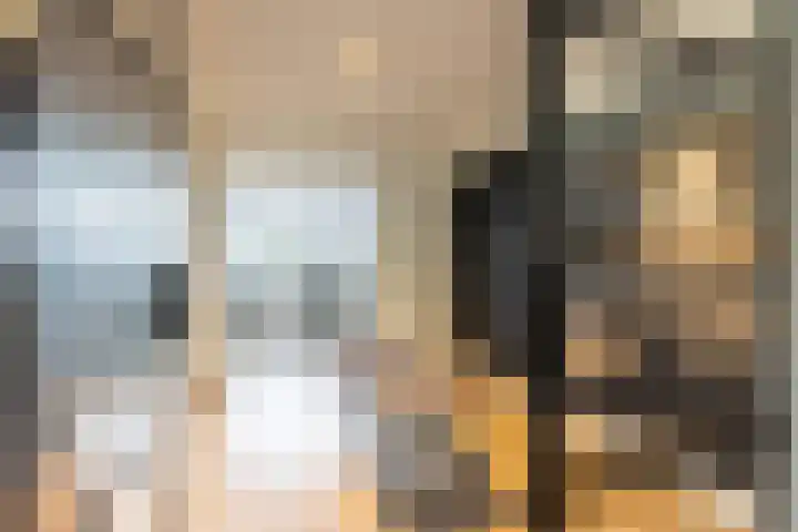Buiteneinde 28 Strijen thumbnail 36