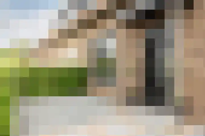 Buiteneinde 28 Strijen thumbnail 38