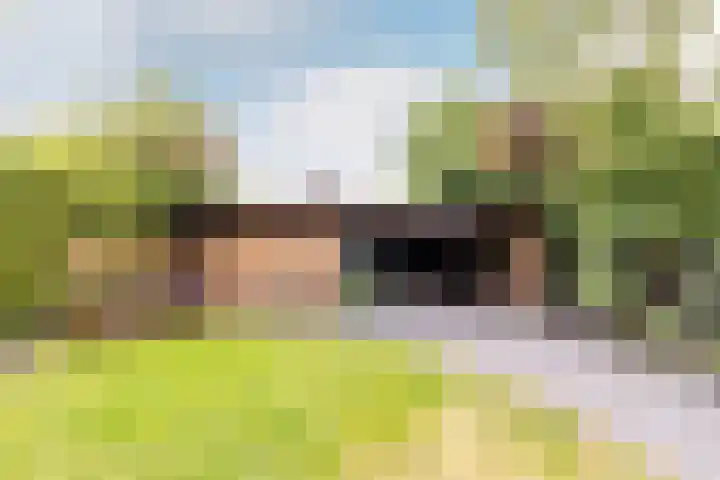 Buiteneinde 28 Strijen thumbnail 43