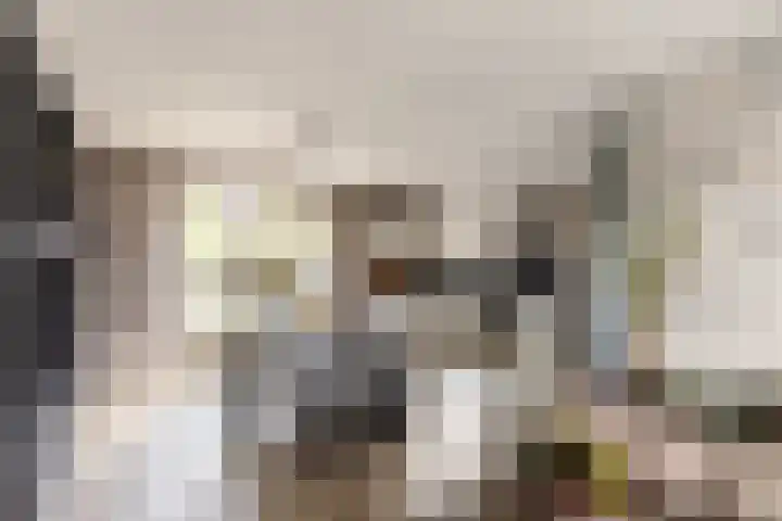Buiteneinde 32 Strijen thumbnail 13