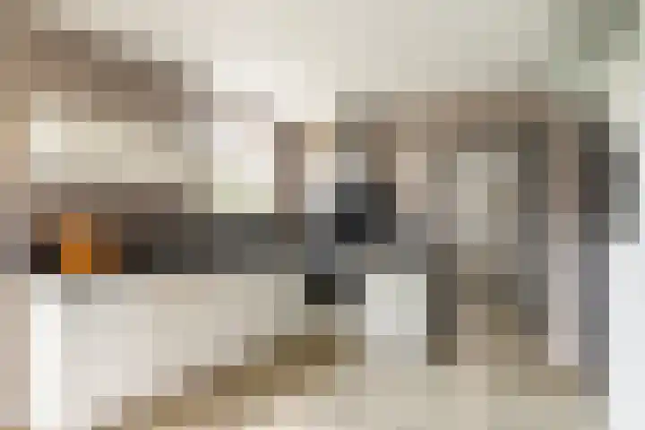 Buiteneinde 32 Strijen thumbnail 14