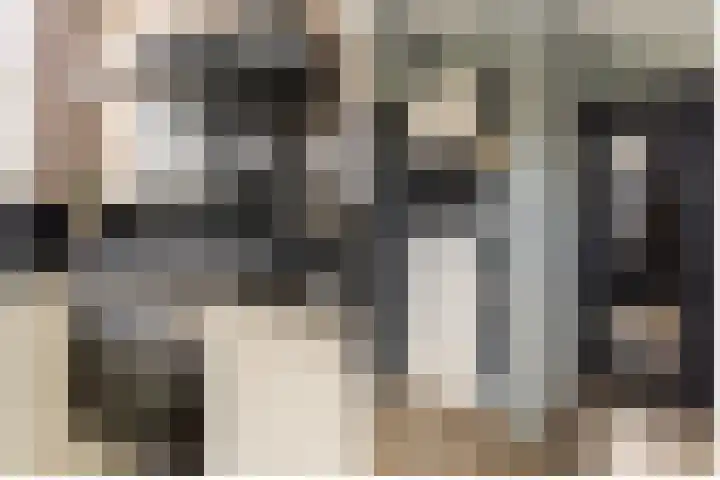 Buiteneinde 32 Strijen thumbnail 15