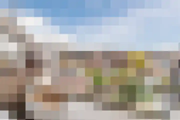 Buitenerf 86 Breda thumbnail 21