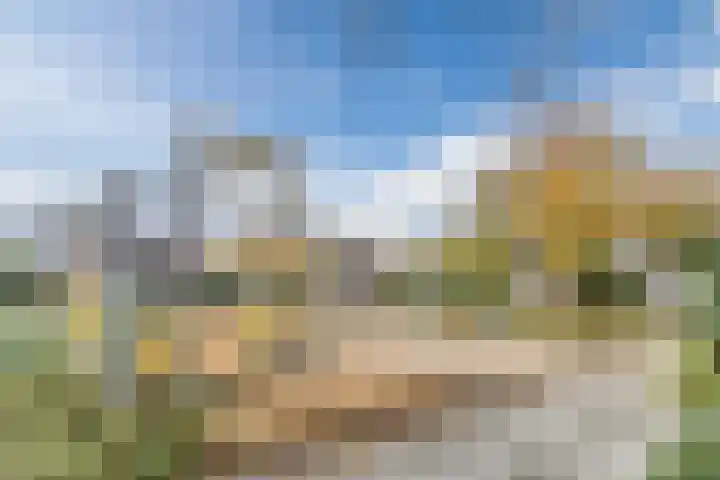 Buitenerf 86 Breda thumbnail 26