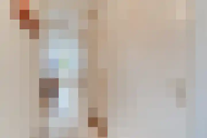 Buitenerf 86 Breda thumbnail 7