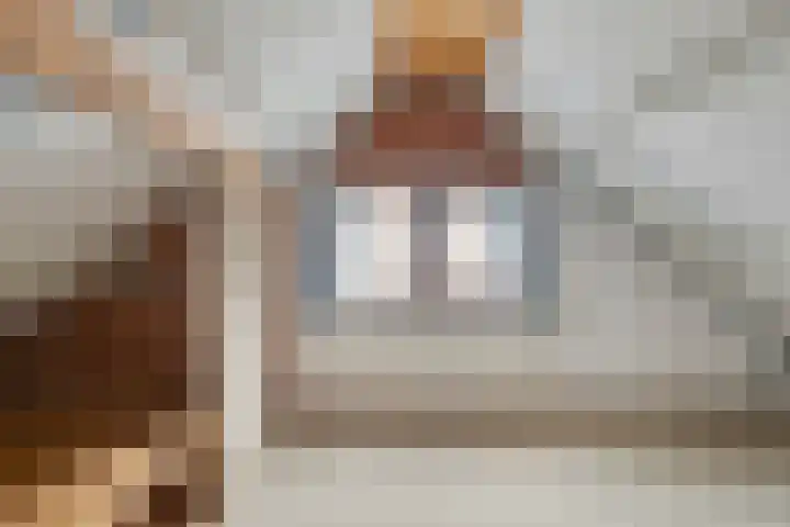 Buitenhagen 6 Goor thumbnail 32