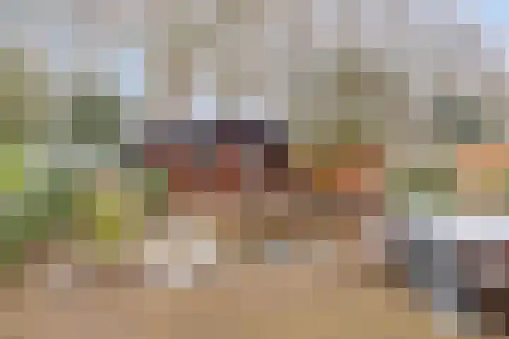 Buitenhagen 6 Goor thumbnail 33