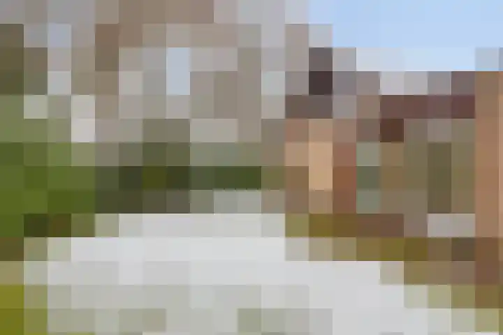 Buitenhagen 6 Goor thumbnail 37