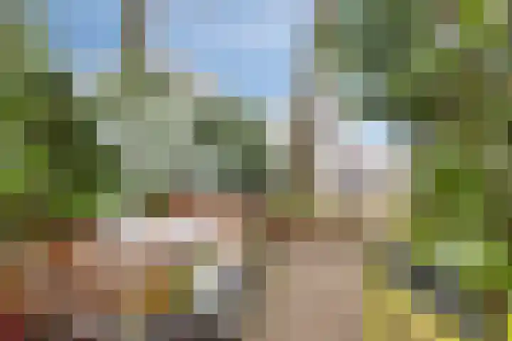 Buitenhagen 6 Goor thumbnail 38