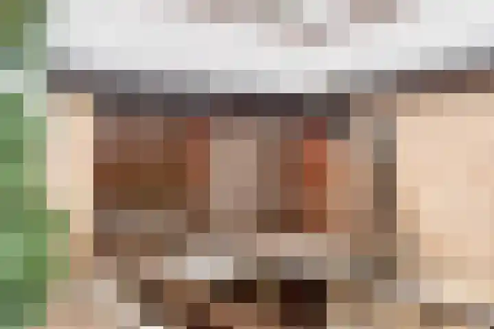 Buitenhagen 6 Goor thumbnail 4