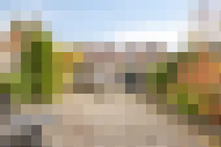 Buitenhof 72 Almere thumbnail 44
