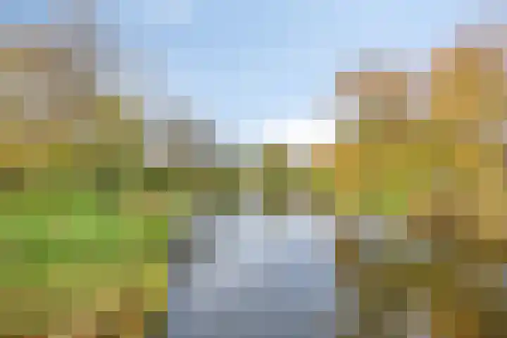 Buitenhof 72 Almere thumbnail 49