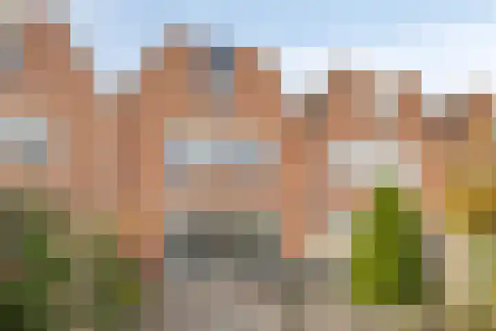Buitenhof 72 Almere thumbnail 5