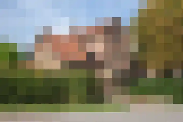 Buitenkade 1 Hank foto 2
